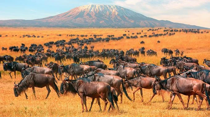 Day 2: Karatu – Serengeti – 5 Days Lodge Safari with Serengeti Group Joining
